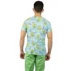 Flurry Frog